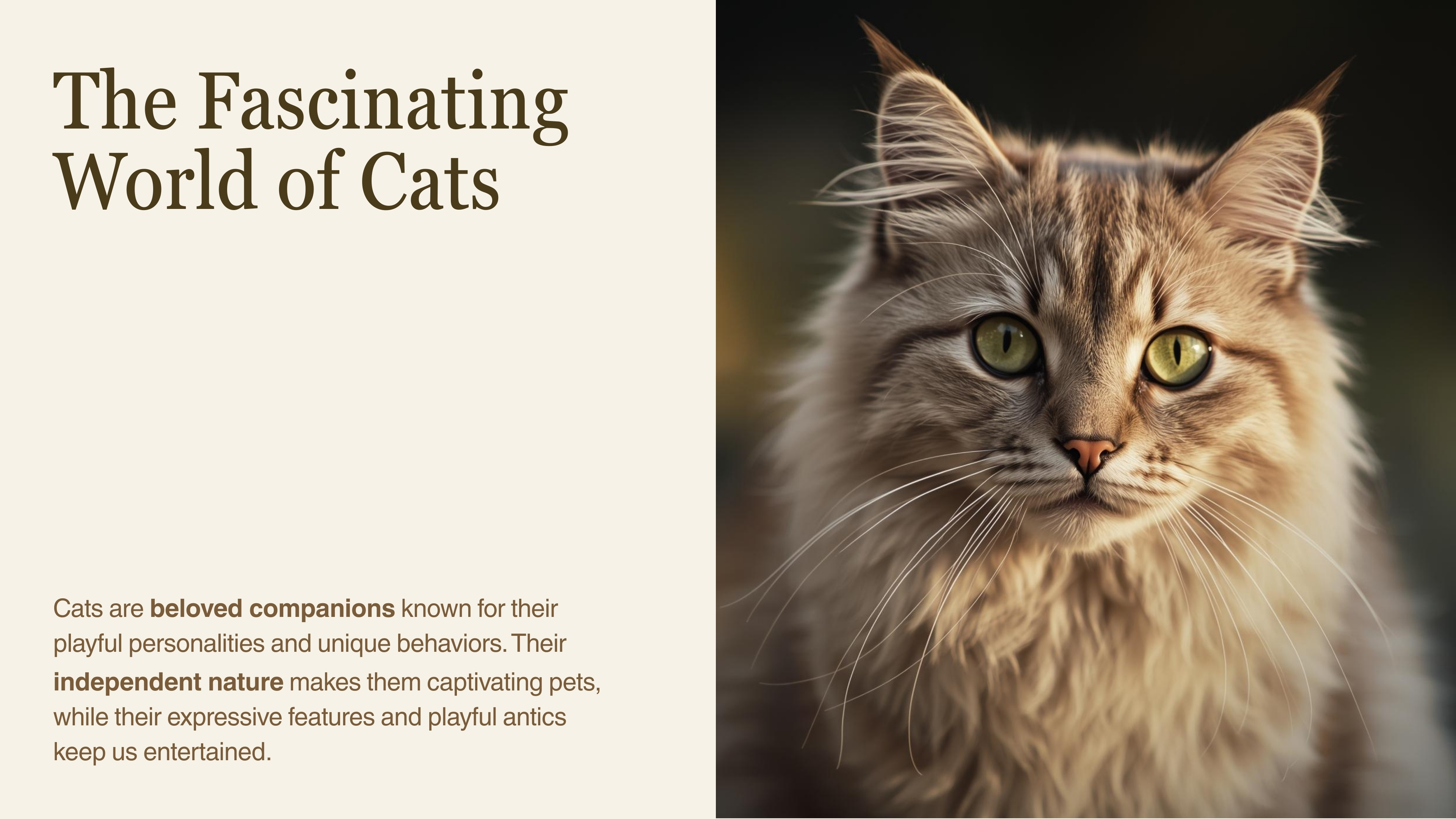 No description has been provided for this image